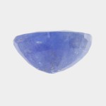 Blue Sapphire – 8.73 Carats (Ratti-9.64) Neelam